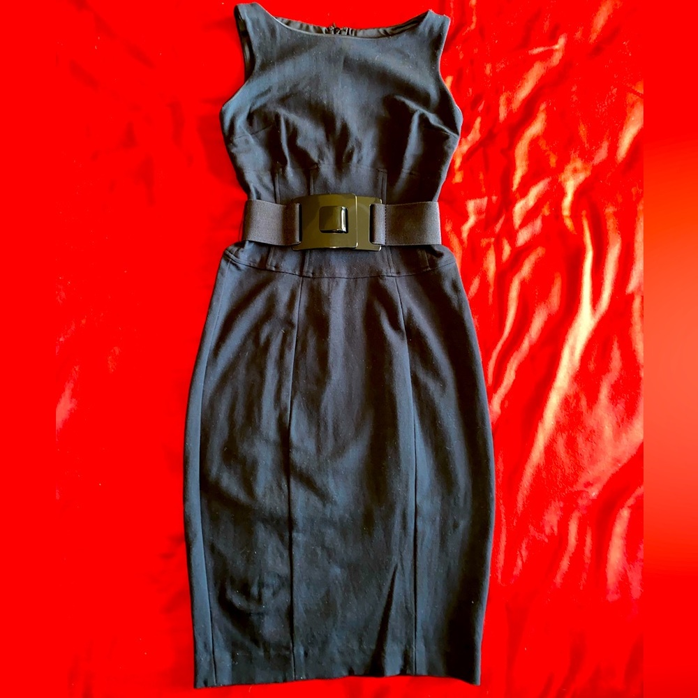 Cache Dress, Size 2, Stretch, Very Elegant - image 1